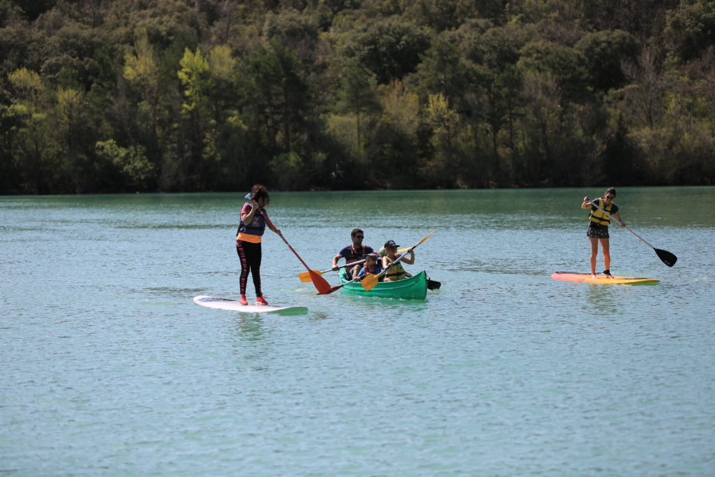 paddle-base-yannick